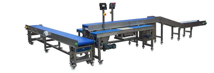 modular belt conveyor packing station