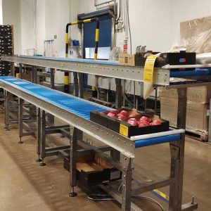 Food packing gravity conveyor