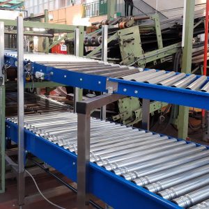 Twin Tier Lineshaft Driven Roller Conveyor