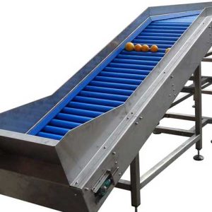 Roller Inspection Conveyor