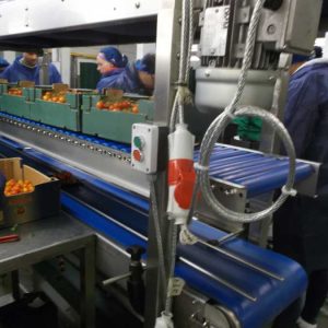 tiered conveyor system for food