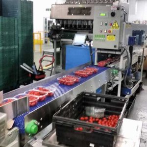 modular belt conveyor for food packing