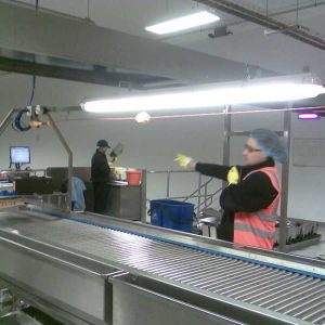 food inspection roller conveyor