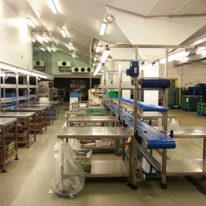 tiered food conveyor system