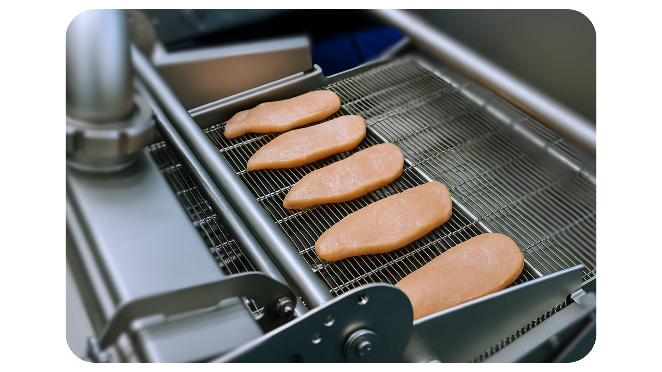 wire belt conveyor for meat