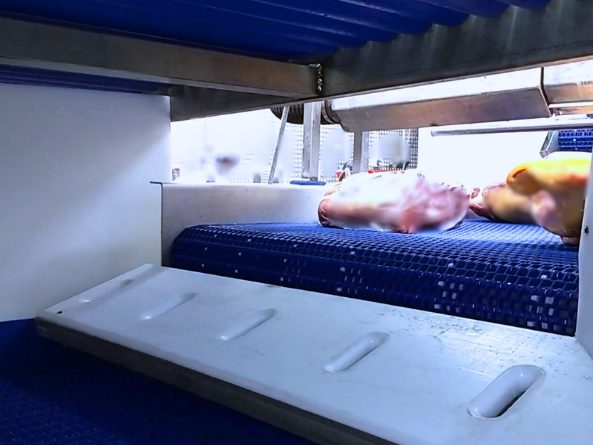 drying conveyor for meat