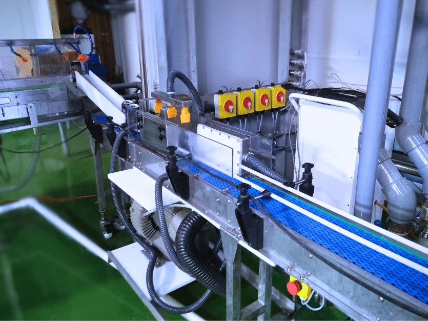 Drying conveyor for beverage production